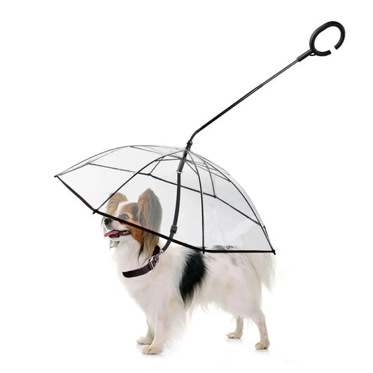 Sombrilla para perros